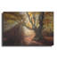 Art mural en métal «Enchanted Forest» Luxe, 16 po x 12 po-1963328258