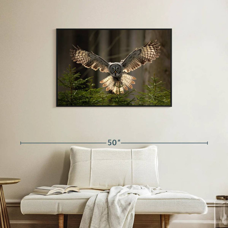 Brampt Flying Owl, 25" H x 37" W