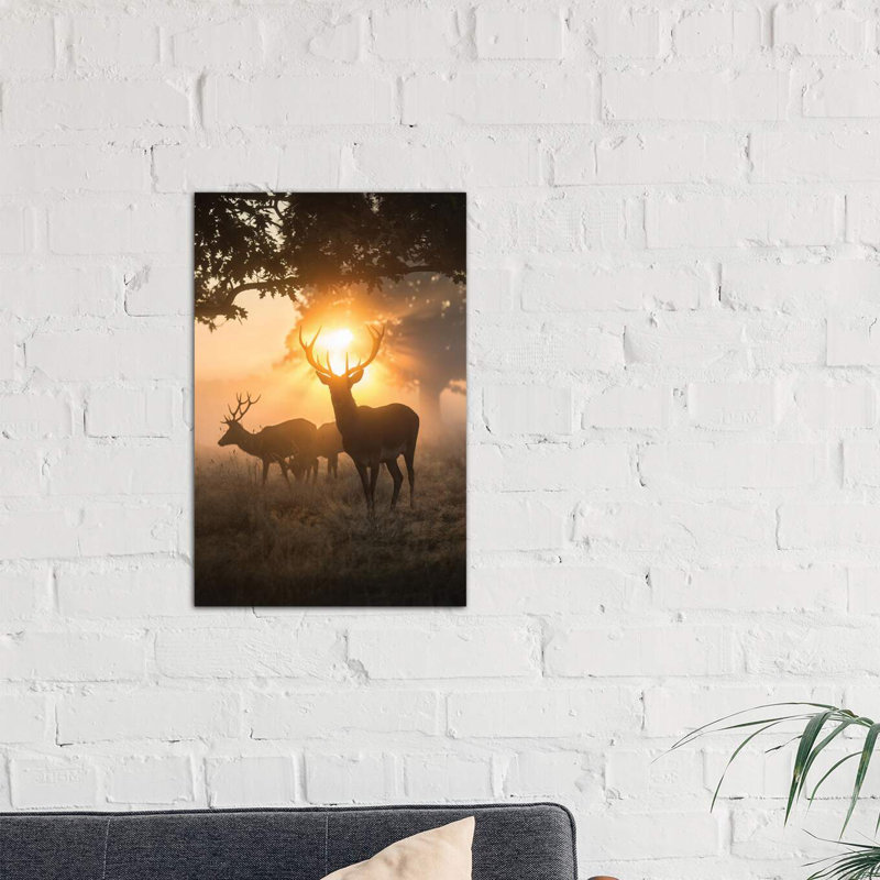 Misty Magic by Max Ellis - Wrapped Canvas Print, 66.04 cm H x 45.72 cm W x 3.175 cm D