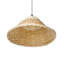 1 - Light Natural Unique/Statement Pendant