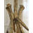 Faina Table Lamp