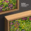 Impression sur toile de jardin botanique coloré-124932525-124932524