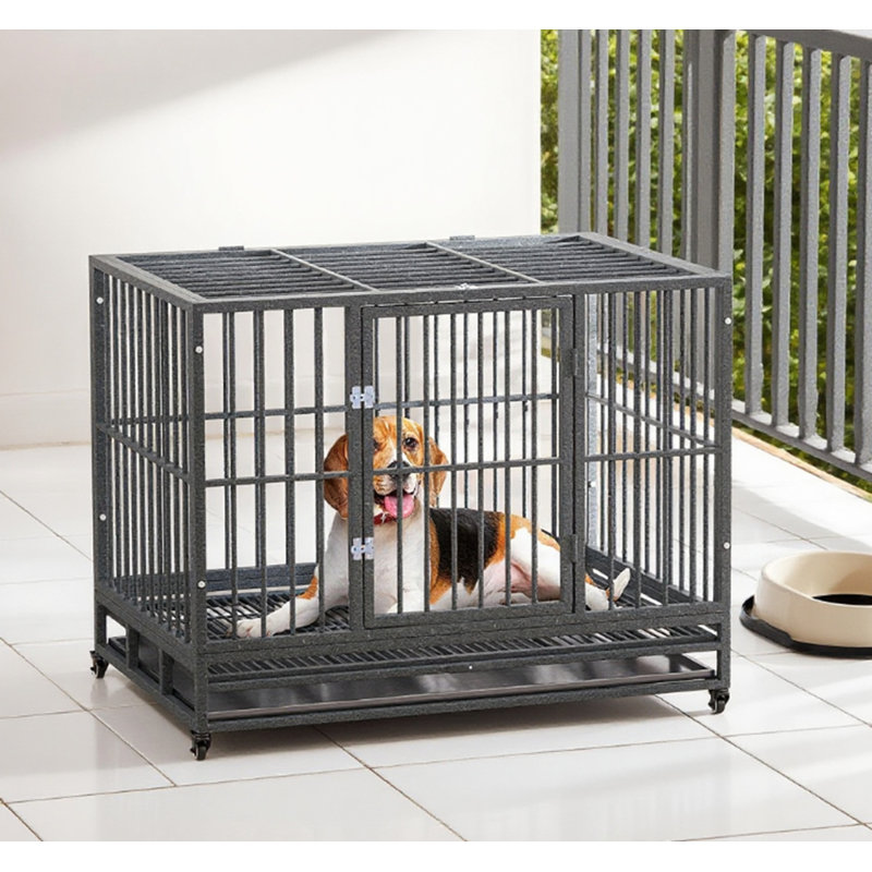 Cage à cage pour chien robuste