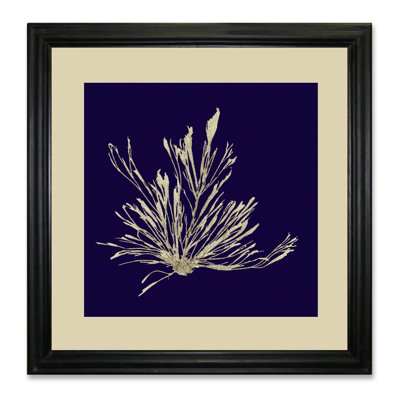 Seaweed on Navy III 1 Piece Single Picture Frame Wall Art