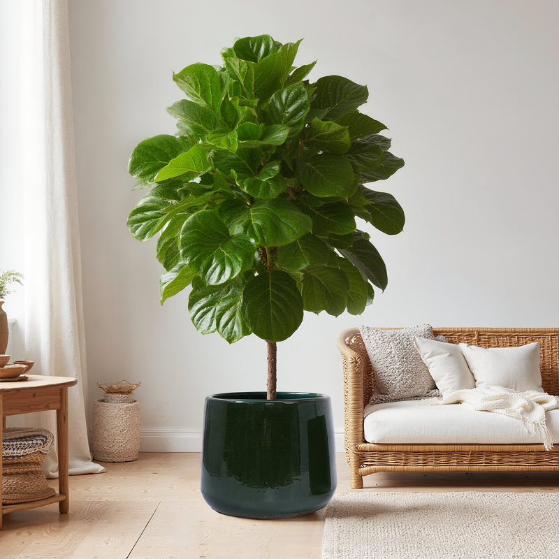 Ensemble de 4 pots de fleurs de 14 po en céramique pour l'intérieur et le jardin, Vert antique