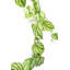 Hanging Plants 180cm Faux Ivy Plant
