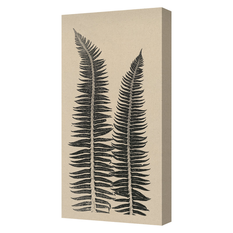 Cocoa Ferns Framed Drawing Print Canvas