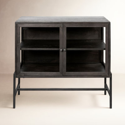 Warner 2 -Door Storage Cabinet