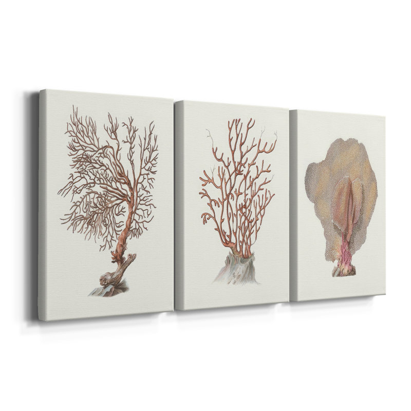 Terra Cotta Coral I - Toile tendue sur mesure avec châssis - 3 pièces, H 36 po x l 72 po
