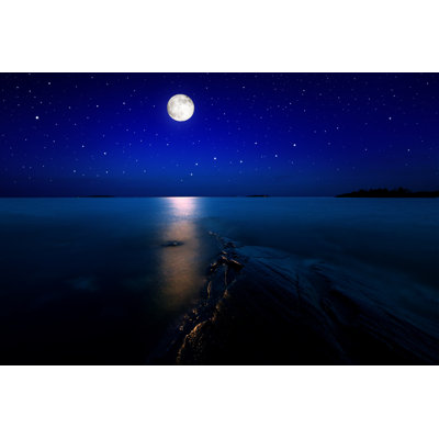 Moonlight Seascape by Arijuhani - Wrapped Canvas Print