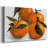 Citrus Grouping II-Gallery Wrapped Canvas-370234893