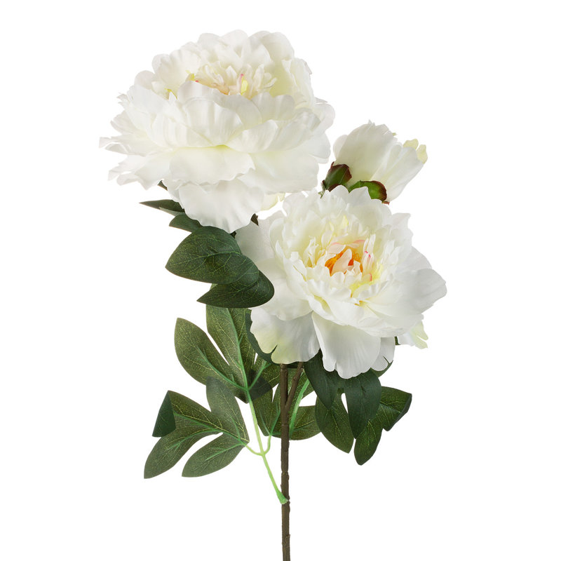 Tige de pivoine 28 po, Crème, crème
