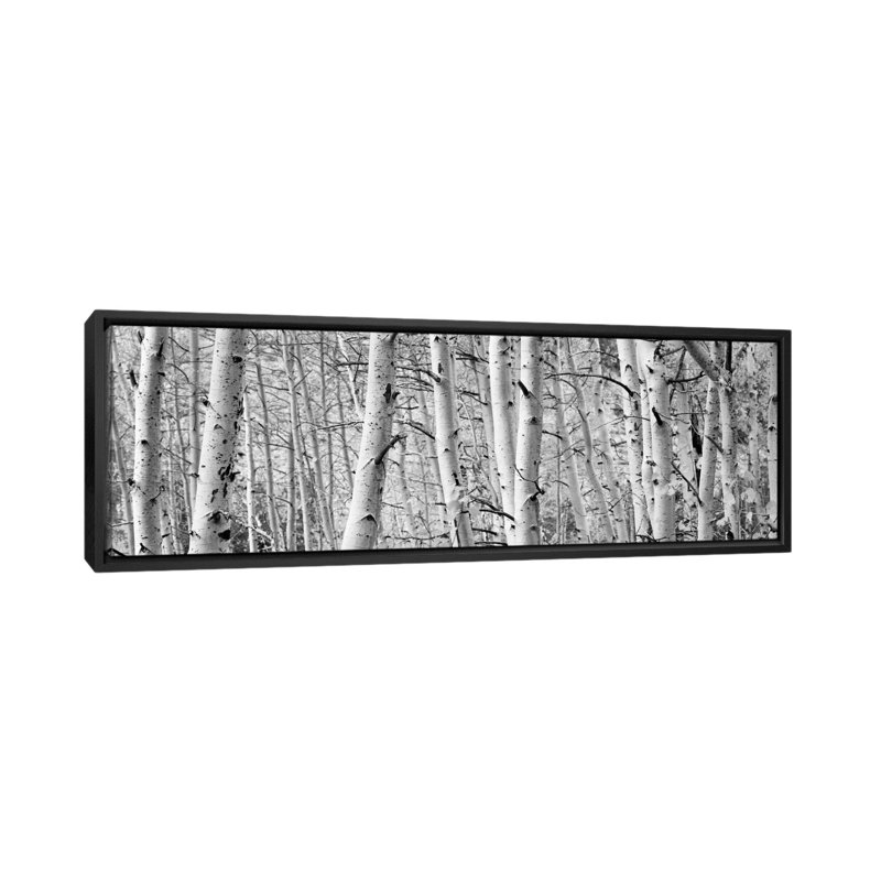Trembles dans une forêt, art mural sur toile tendue, H 20 po x l 60 po x p 1,5 po, Toile avec cadre noir