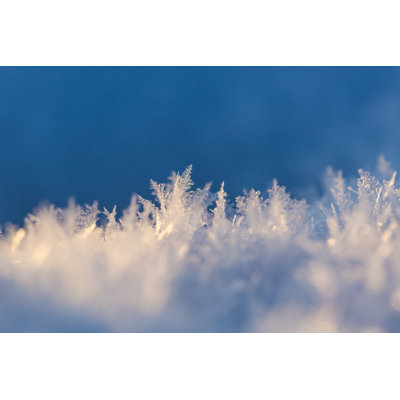 Microscopic Image Of A Snow Crystal - Wrapped Canvas Print