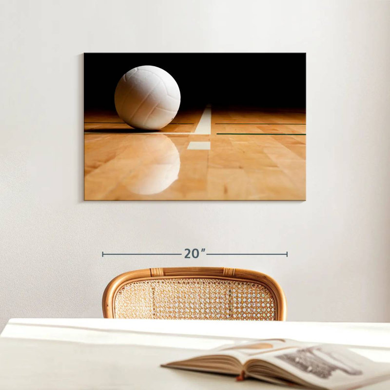 Sireci White Volleyball Reflection, 16" H x 24" W