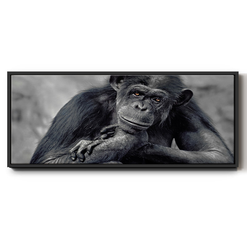 Captivated- Framed Canvas, 20" H x 50" W