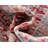 Gabbs Oriental Indoor Rug-419509095