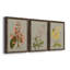 Botanical Array I - ensemble de 3 peintures sur toile encadrées-1480606616-1480606618