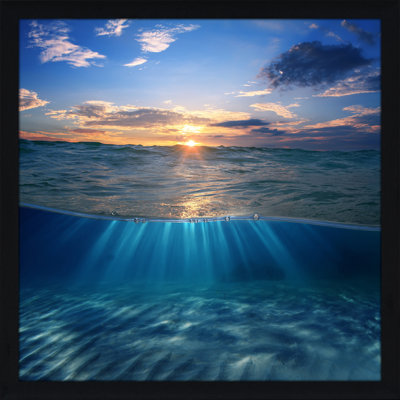 « Underwater 3 »-reproduction de photo encadrée