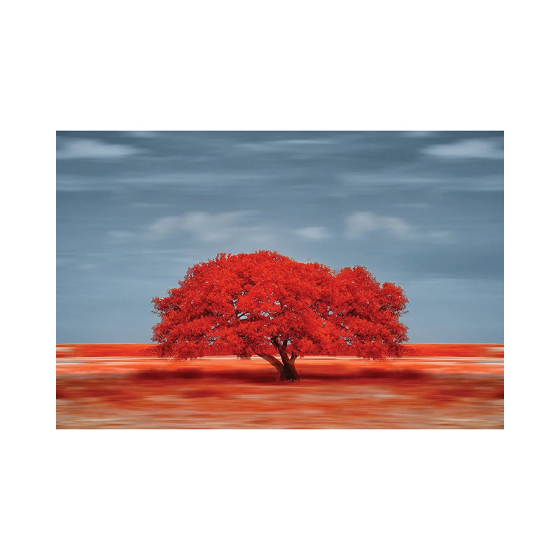Lonely Red Tree On The Field by Glauco Meneghelli - Wrapped Canvas Print, 66.04 cm H x 45.72 cm W x 3.175 cm D