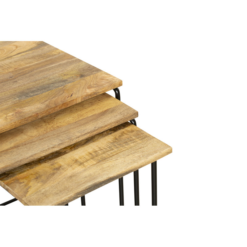 Pavlof 3 Piece Nest of Tables