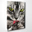 Tabby Licking Paw Photographic - Wrapped Canvas-19042210