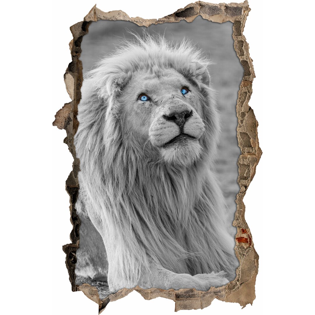 Wandaufkleber Majestic Lion with Beautiful Fur