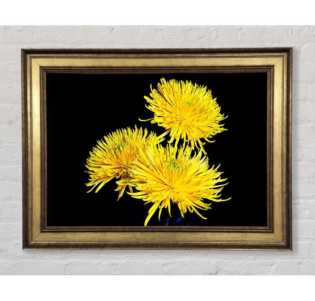 Dandelion Delight - Einzelner Bilderrahmen Kunstdrucke