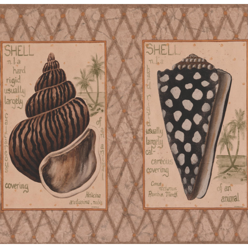 Nautical Borders Pre-Pasted Vinyl