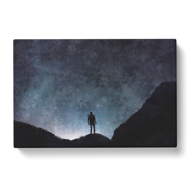 Watching The Stars - Wrapped Canvas Painting, 50cm H x 76cm W x 3cm D