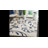 Diederich Florida Shag Performance Floral Rug-2145085380