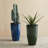 Set Of 2 Oversized Gradient Green Faux Ceramic  Tall Plastic Planter-1171769246-1155637905