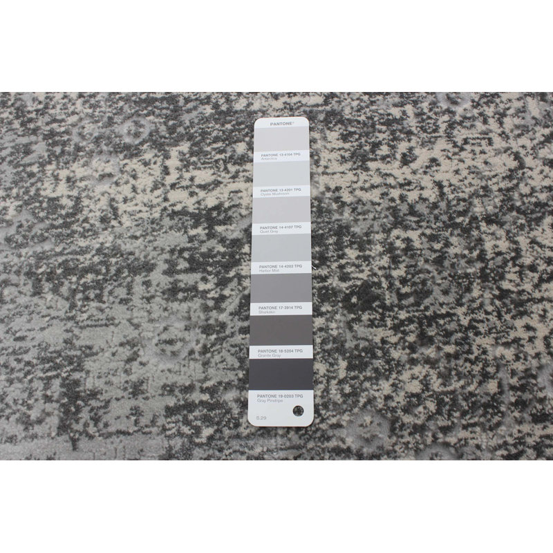 Indoor Rug, Rectangle 3'11" x 5'11"