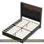 Structure de lit double capitonnée en velours pleine grandeur avec port USB et veilleuse, tête de lit haute 52 po avec rivets, lit plateforme à oreilles avec tablette de tête de lit, noir-987147055-987147054