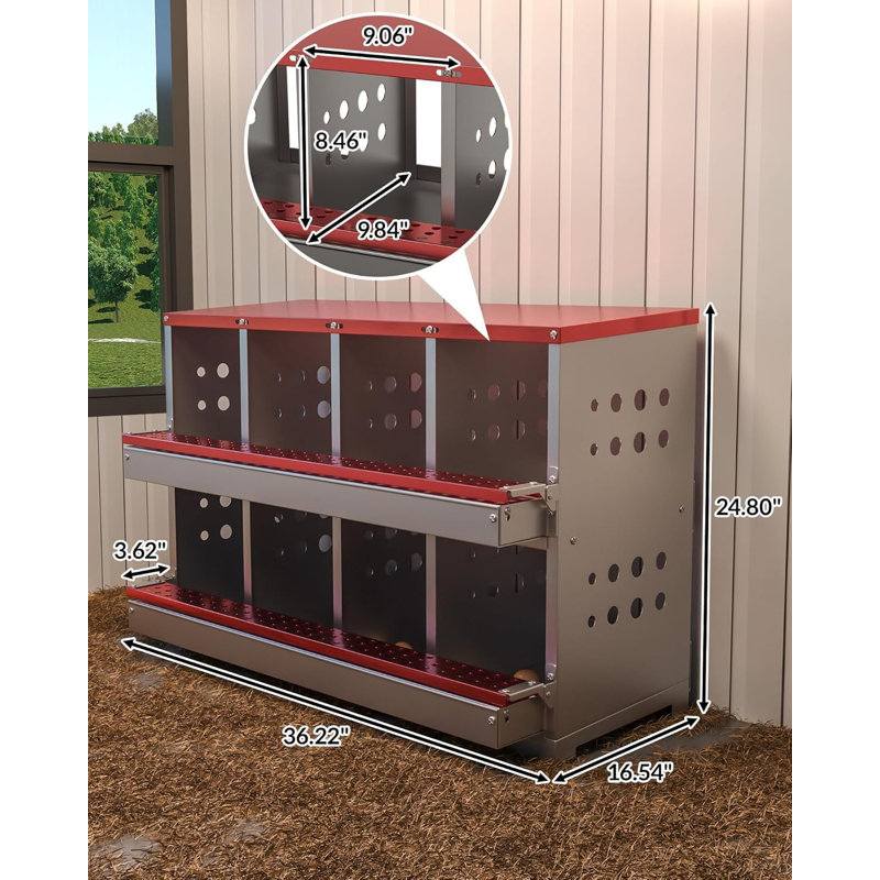 Chicken Coop