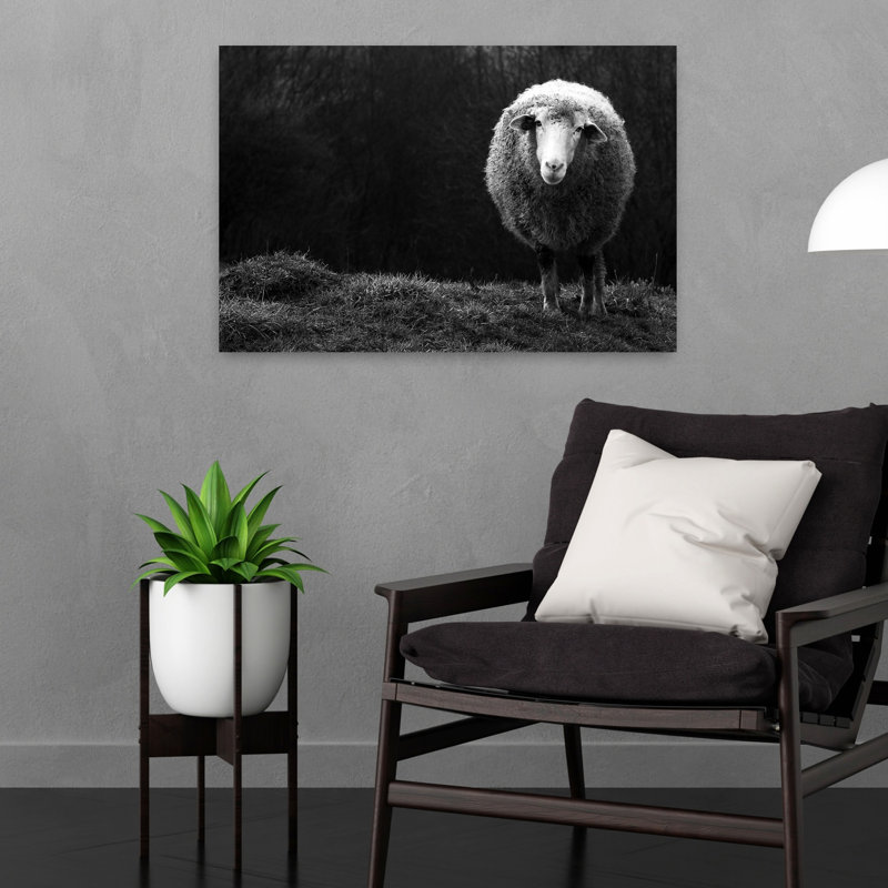 Woolly Sheep Portrait Peaceful Abstract Contemporary Animal Nature Wall Art Print 1 Piece Wrapped Canvas Wall Art