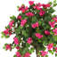 60'' Faux Flowering Topiary in Planter