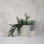 Pot de fleurs en céramique Cloudy-48408629-66917644