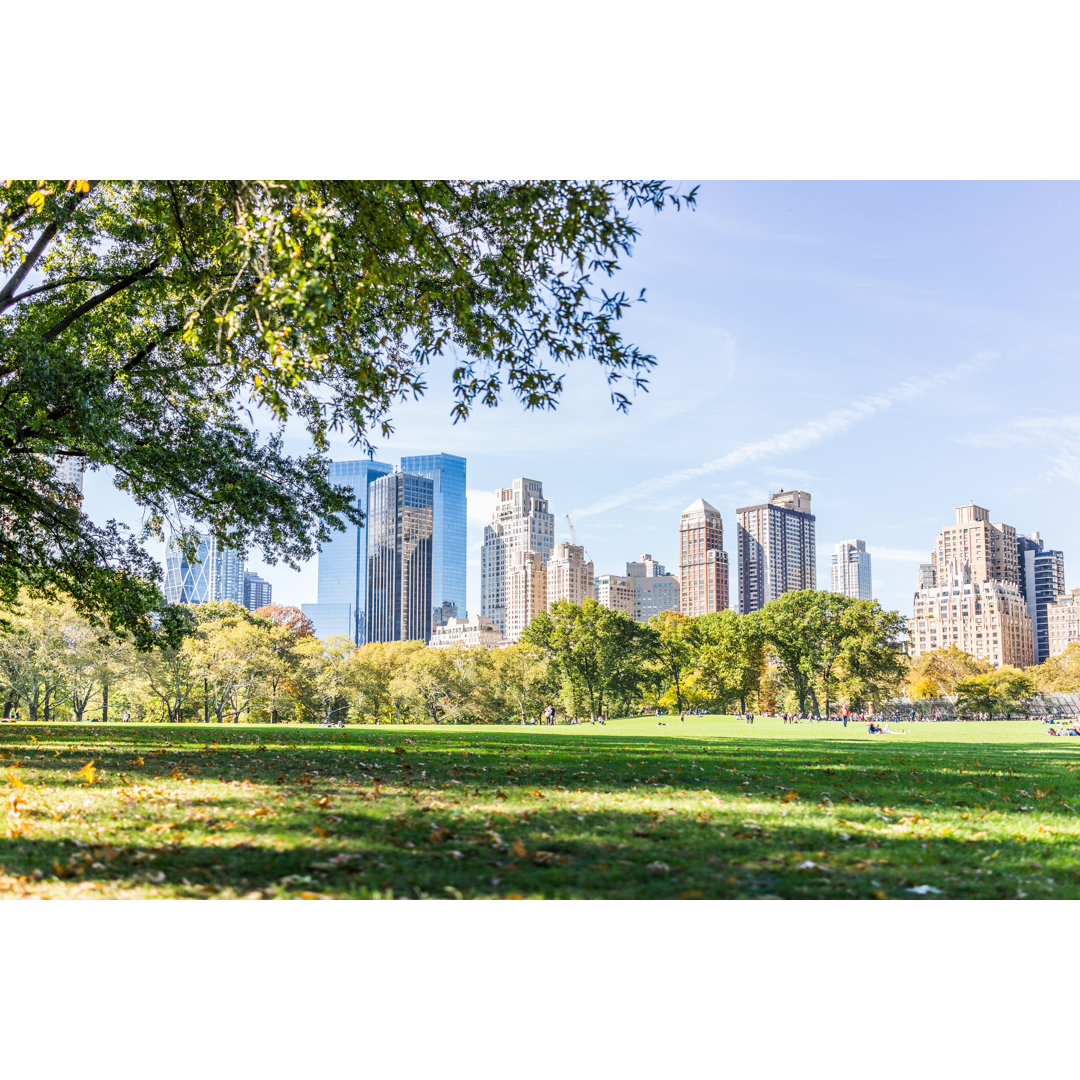 Manhattan NYC Central Park, New York City by Krblokhin - Druck