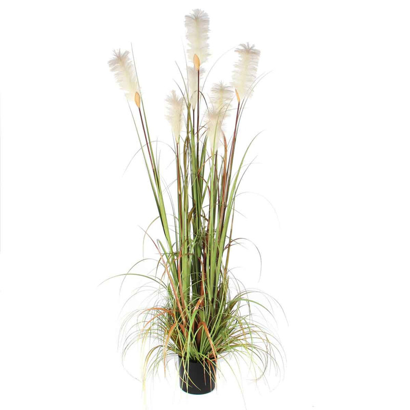 Faux Pampas Grass Grass in Pot, 180cm H x 80cm W x 80cm D