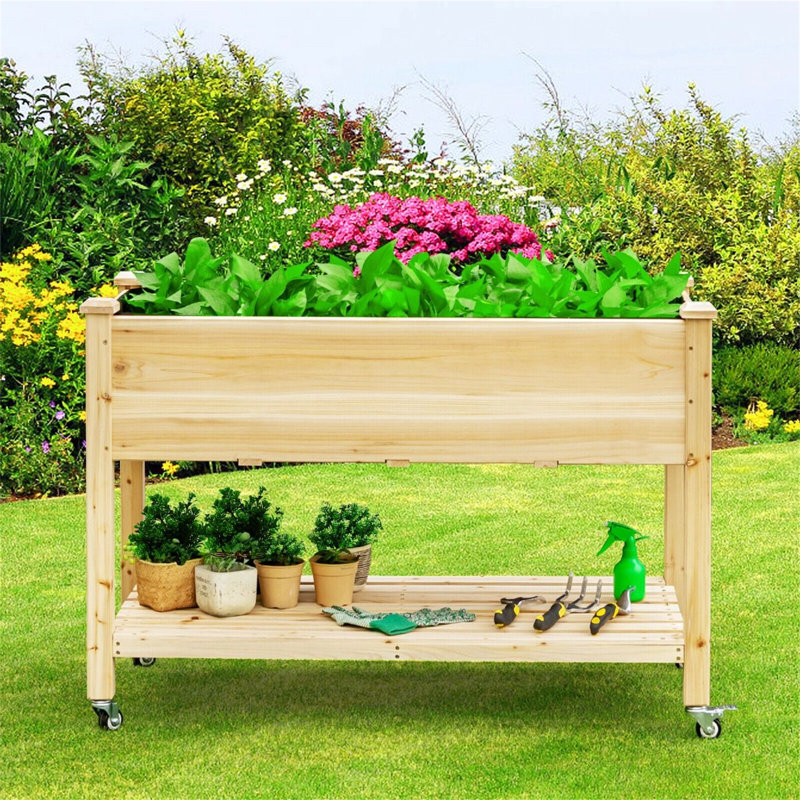Elevated Planter
