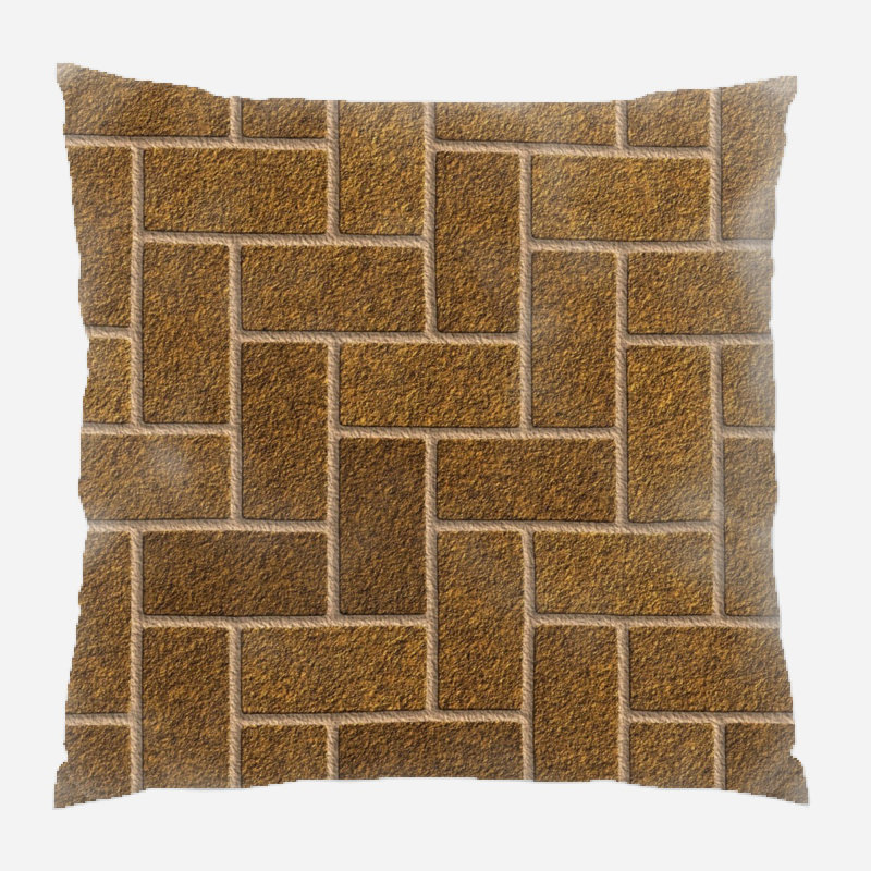 Coussin décoratif