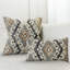 Evolution Indoor/Outdoor Pillow Cover & Insert by Elaine Smith-153898900-153898899