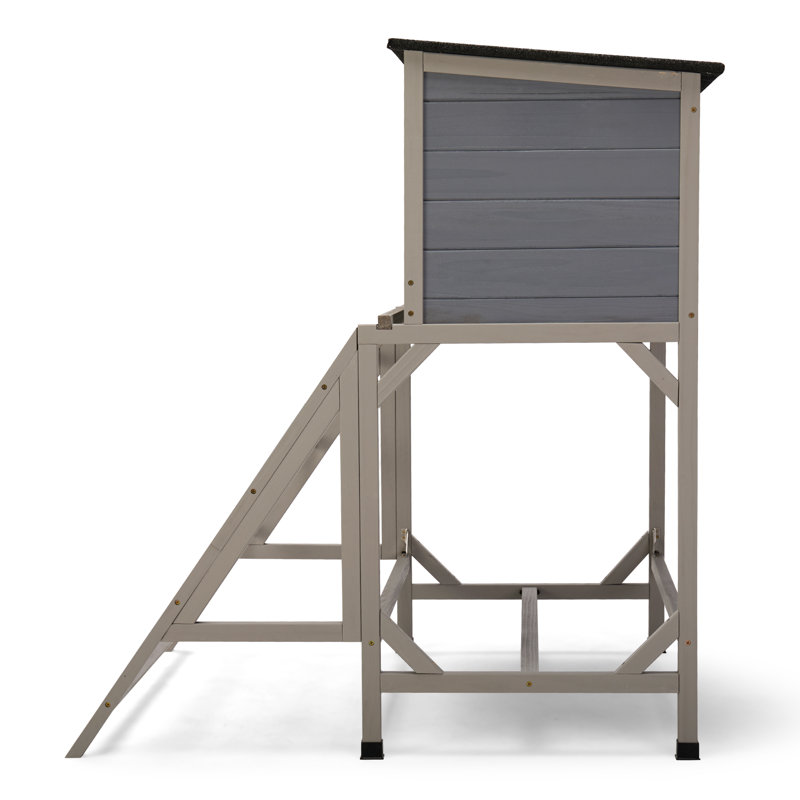 Chicken Cage