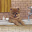 Pup In The Tub - Wrapped Canvas Painting-469544235