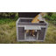Cat Hutch-869907339