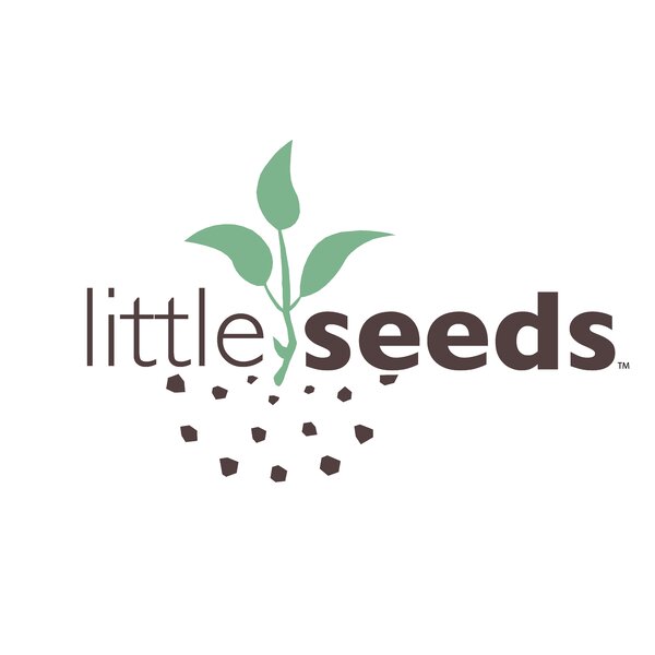 Little Seeds - Wayfair Canada