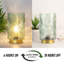 Adariaha Metal Table Lamp-2095777612