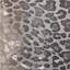 Leopard Square Velvet Pillow-222749427-222749999