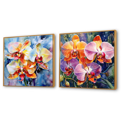 Ensemble de 2 magnifiques orchidées de rêve colorées - ensemble d'orchidées carrées